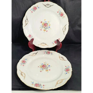 VINTAGE Schirnding Bavaria, 9.5" GOLD GILT FLORAL FLOWER PORCELAIN PLATE Set 2